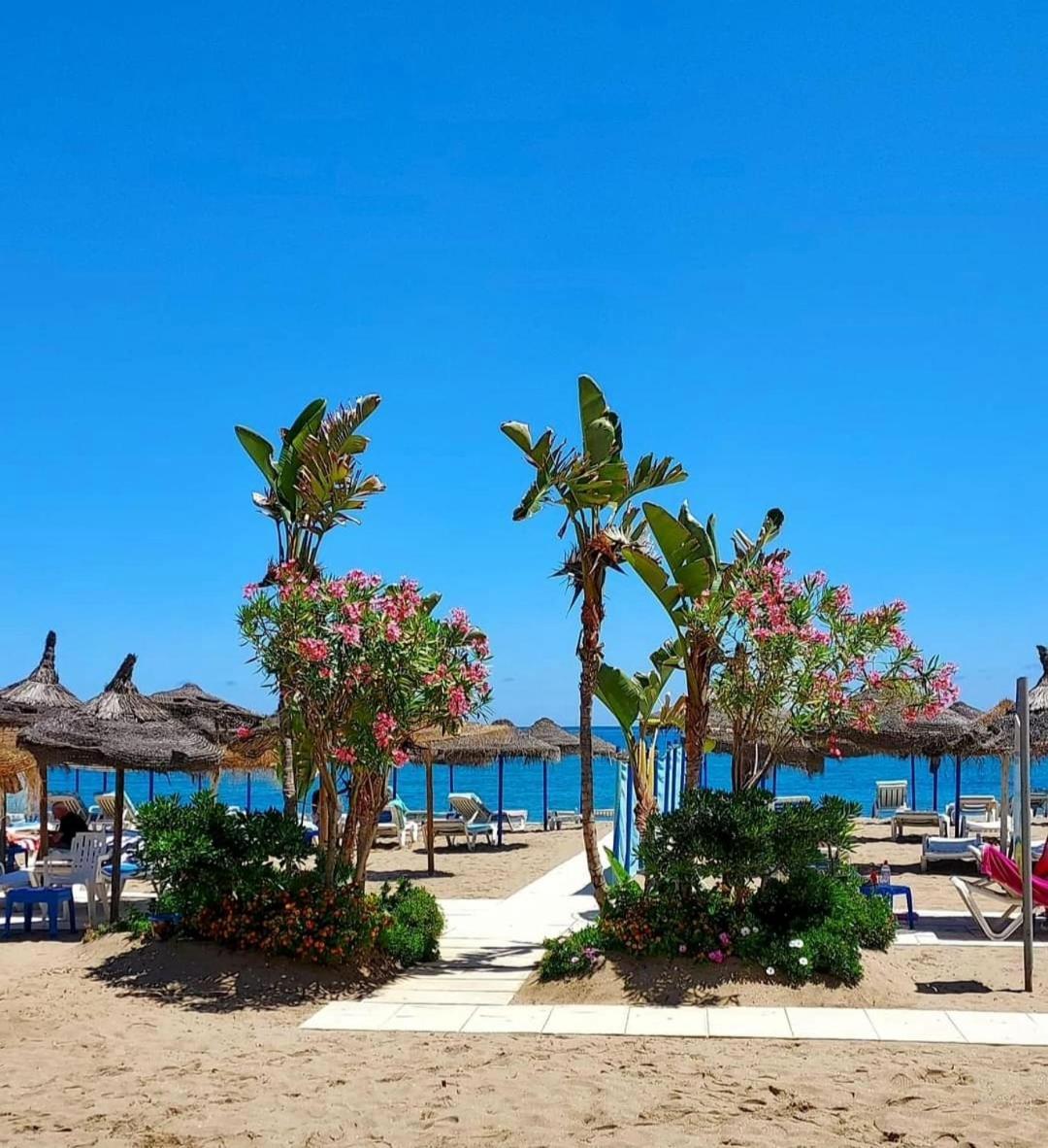 Luxury Beachfront Apartment With Pool, Sauna, Fitness And Gym In Province Malaga, Andalusia 미하스 외부 사진